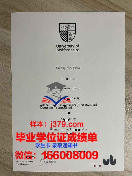 蒙福特成绩单:揭示教育真谛的启示录