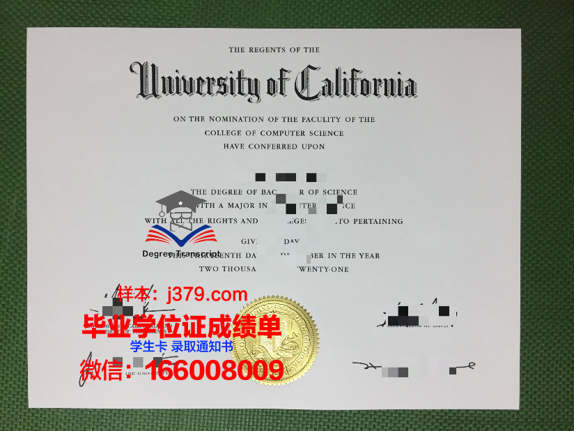 南方大学学院博士毕业证：知识与荣誉的象征