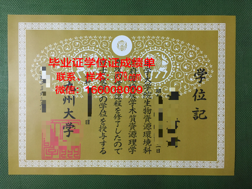 南九州大学毕业证电子版
