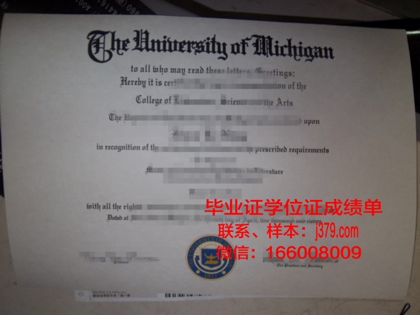 西伯利亚国立电信与信息大学毕业证真伪(新西伯利亚国立大学毕业证)