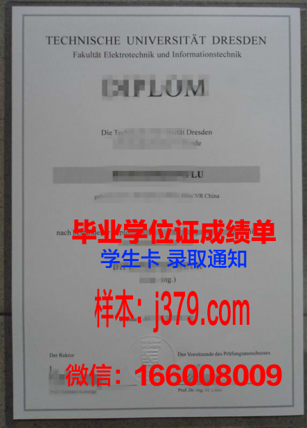 无高中毕业证如何去德国(无高中毕业证如何去德国读大学)