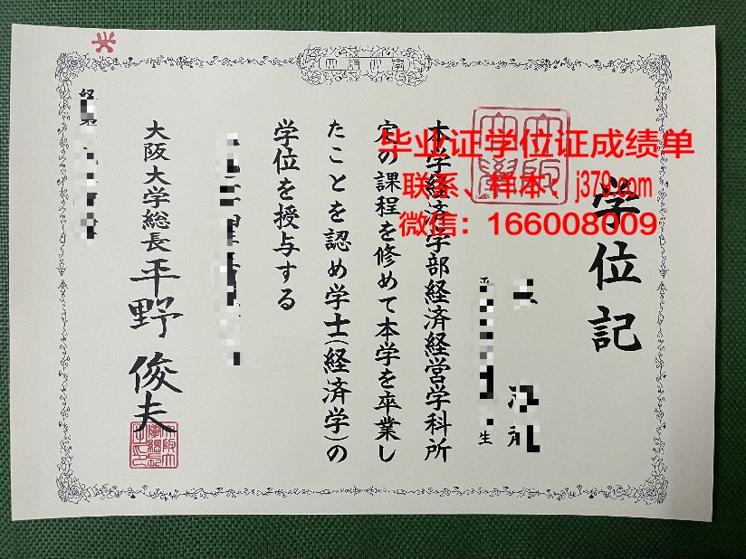 大阪信息计算机专门学校学位证(大阪大学计算机修士)