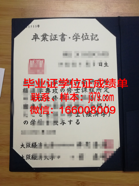 大阪信息计算机专门学校学位证(大阪大学计算机修士)