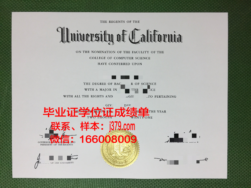雷大毕业证：承载荣誉与梦想的证书