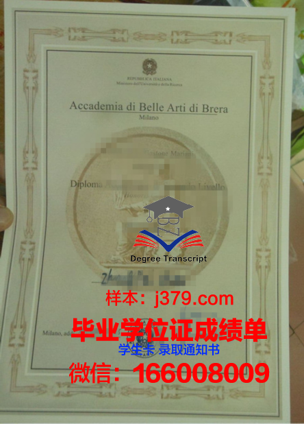 雷焦卡拉布里亚美术学院diploma证书(布雷拉美术学院国内承认吗)