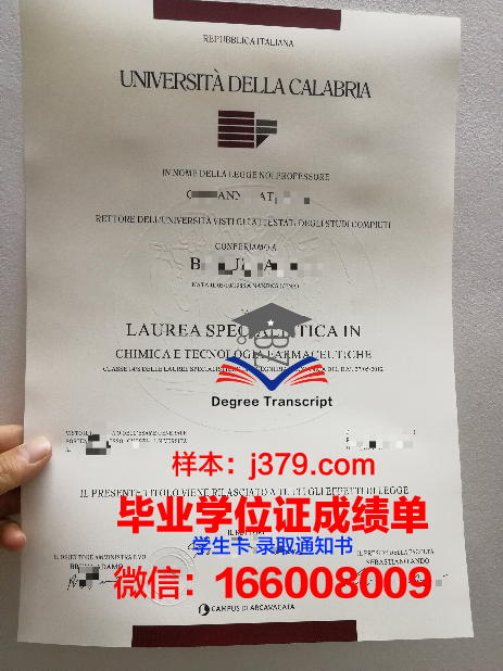 雷焦卡拉布里亚美术学院毕业证高清图(意大利雷焦卡拉布里亚美术学院)