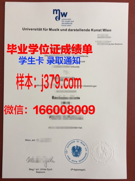 维也纳医科大学毕业证：跨越国界的医学荣耀
