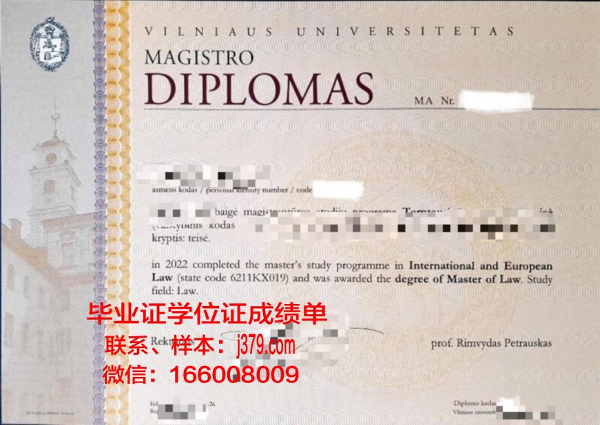 维尔纽斯格迪米纳斯技术大学研究生毕业证(维尔纽斯大学申请条件)