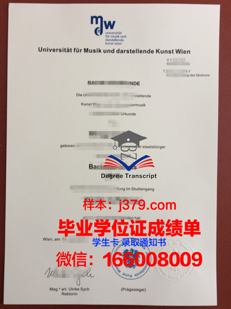 维也纳应用艺术大学毕业文凭