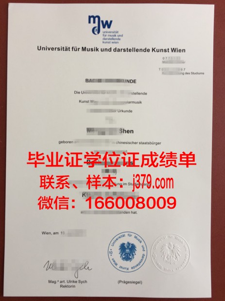 维也纳技术大学毕业证成绩单：跃动的学术青春