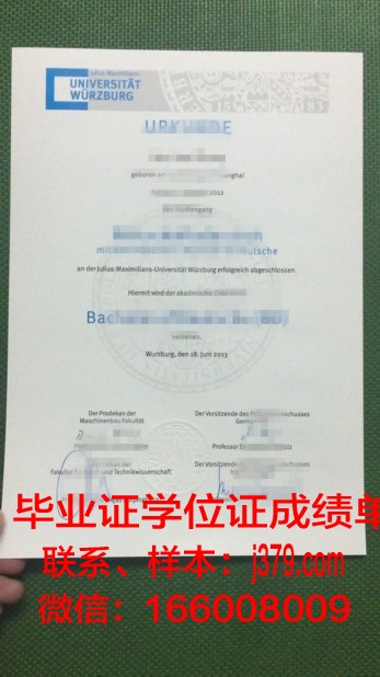维尔茨堡音乐学院毕业证翻译(维尔茨堡大学医学博士)