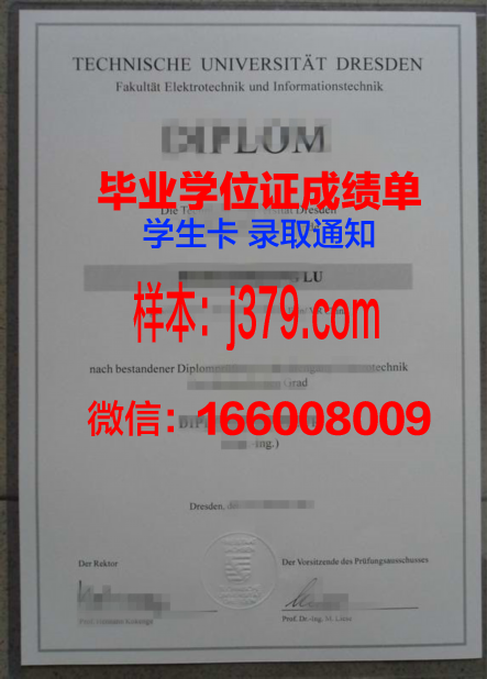 雷根斯堡大学成绩单：德国高等教育质量的见证