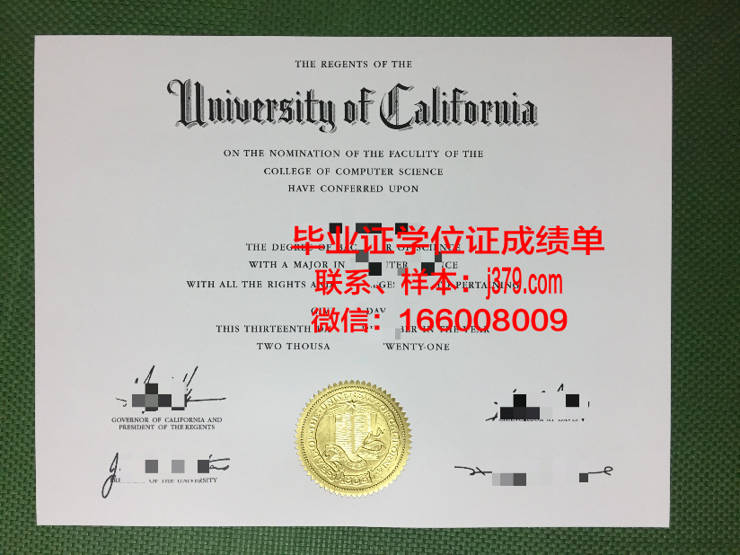 阿莱博士毕业证:一份传奇证书背后的故事
