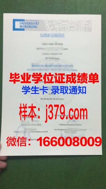 维尔茨堡大学毕业证定制：传承与创新的艺术结晶