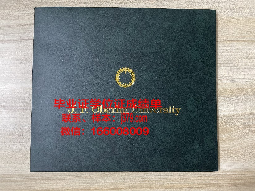 雷根斯堡大学毕业证原版(雷根斯堡大学怎么样)