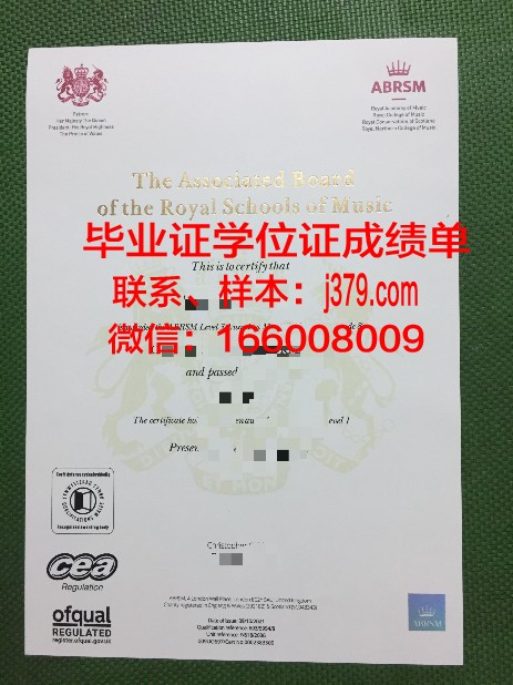 维也纳爵士与流行音乐大学毕业证模板(音乐学院爵士系)