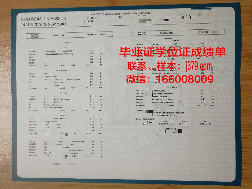 阿酋大学位成绩单定制：探索学术诚信的边界