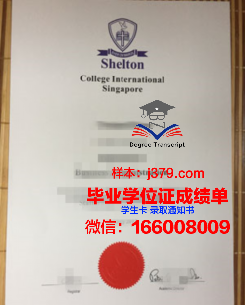 维莱尔国际商学院研究生毕业证书(维莱尔国际商学院在职研)