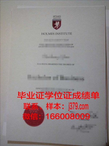 霍尔姆斯学院本科毕业证:承载荣誉与梦想的通行证