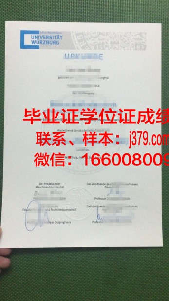 维尔茨堡大学毕业证展示