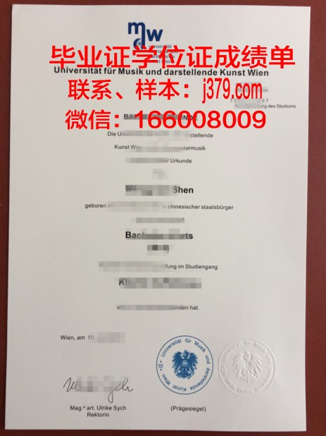 维也纳造型艺术学院本科毕业证(维也纳艺术学院负全责)