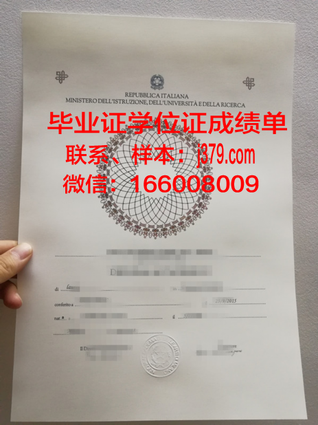 纽约美术学院成绩单：艺术教育的璀璨印记
