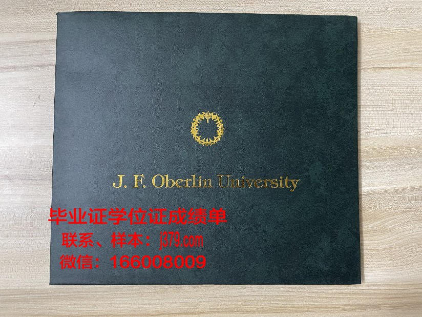 雷根斯堡大学毕业证案例(雷根斯堡大学世界排名)