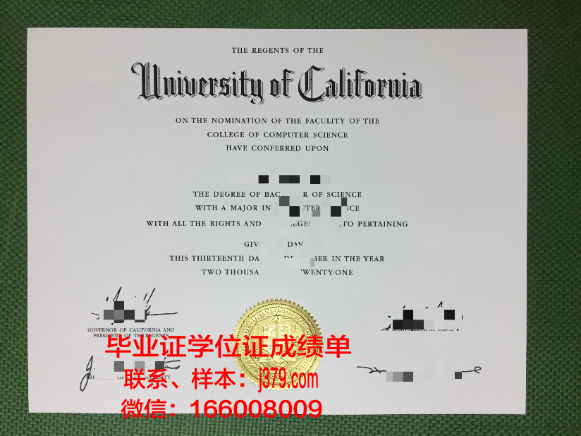 阿雷利亚诺大学本科毕业证：开启未来的金色钥匙