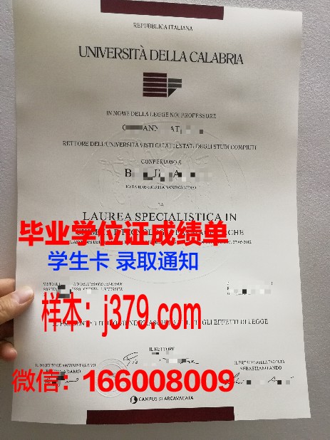 雷焦卡拉布里亚美术学院毕业证高清图(意大利雷焦卡拉布里亚美术学院)