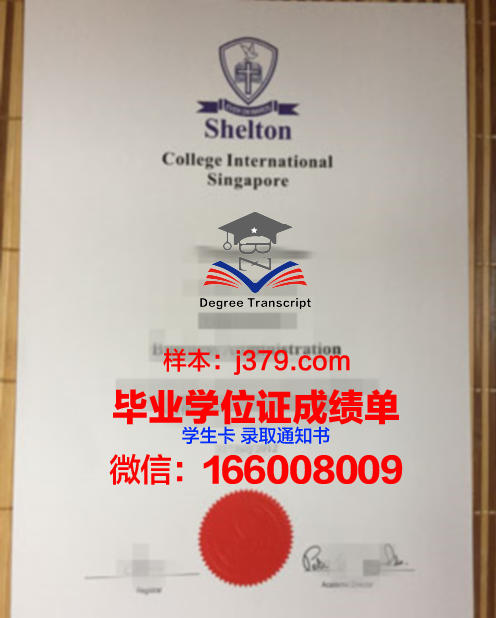 维莱尔国际商学院博士毕业证(法国维莱尔国际商学院在职硕士)