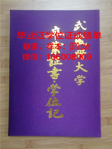 雅尔穆克大学毕业证壳子(雅尔穆克大学世界排名)