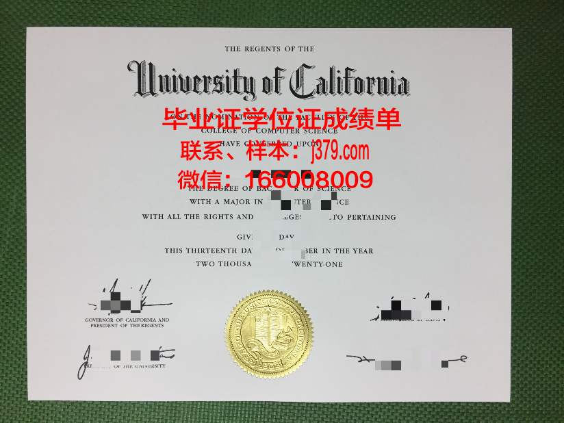 雅西国立艺术大学毕业证案例(雅西国立艺术大学毕业证案例分析答案)