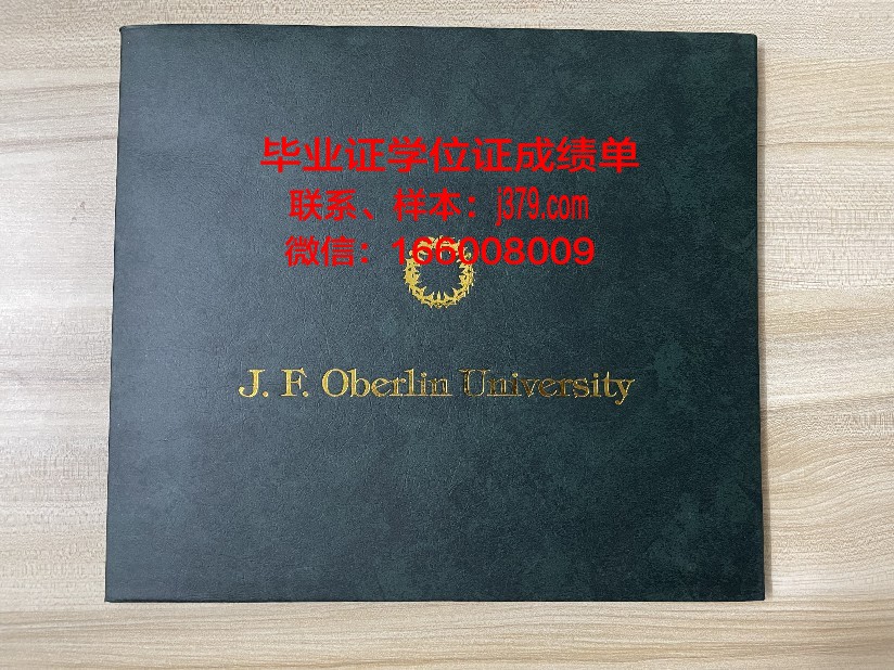 雷根斯堡应用技术大学本科毕业证(雷根斯堡大学dsh)