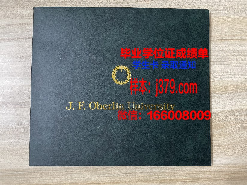 雷根斯堡大学毕业证高清图(雷根斯堡大学dsh)
