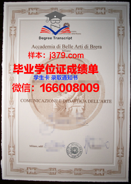 雷焦卡拉布里亚美术学院diploma证书(布雷拉美术学院国内承认吗)