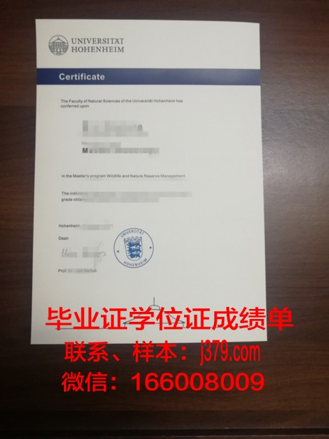 霍恩海姆大学毕业证补办(霍恩海姆大学毕业证补办需要多久)