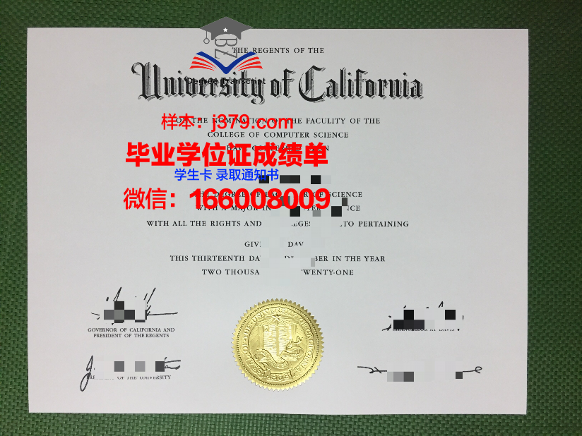 雷恩第二大学本科毕业证:承载荣誉与梦想的证书