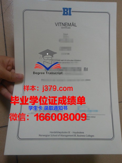 经济学位证书:开启职场之门的金钥匙