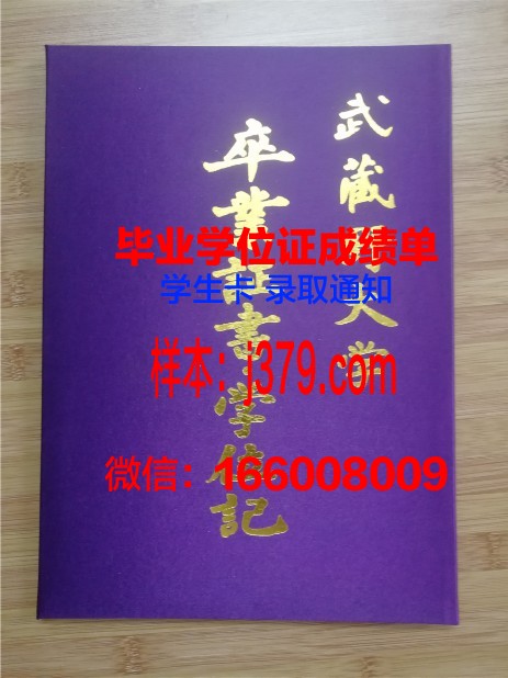 雷根斯堡大学毕业证壳子(德国雷根斯堡大学怎么样)