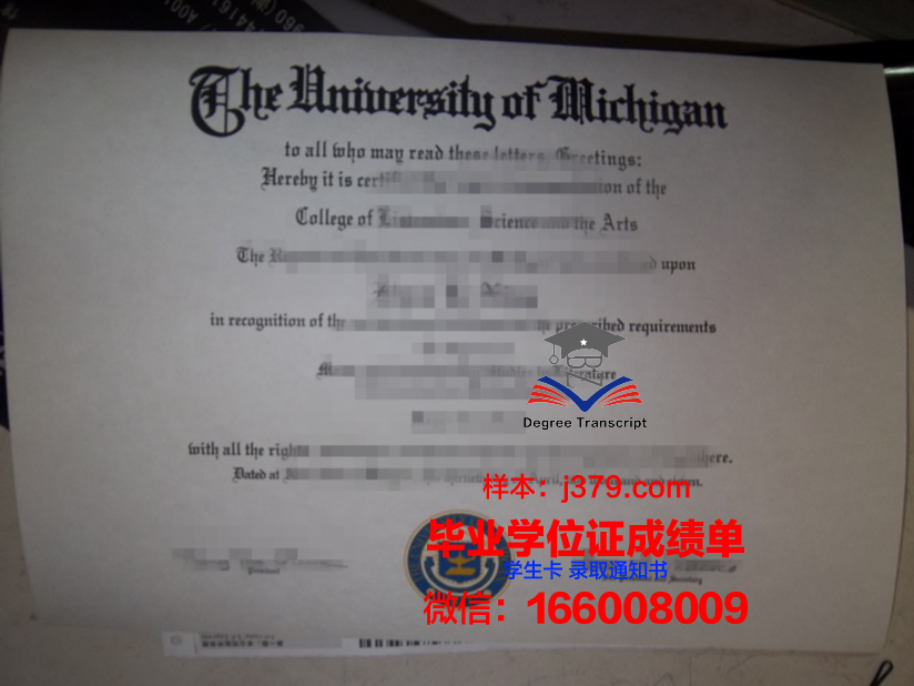 雷恩第二大学本科毕业证:承载荣誉与梦想的证书