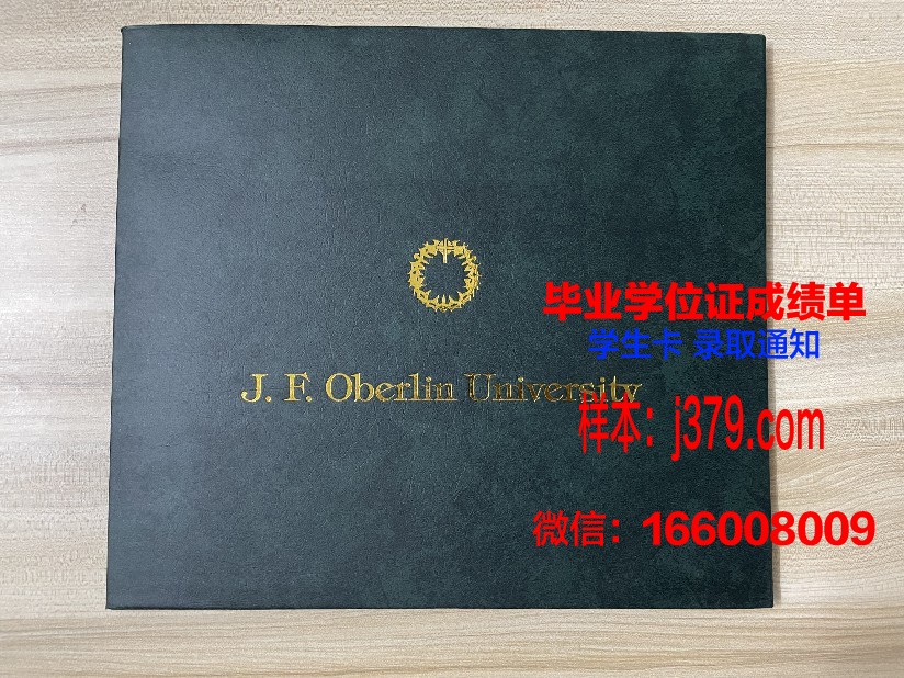 雷根斯堡大学毕业证什么样子(雷根斯堡大学世界排名)