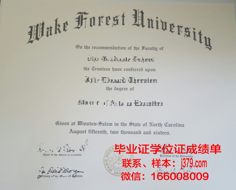 维克技术社区学院硕士毕业证:开启职场新篇章的钥匙