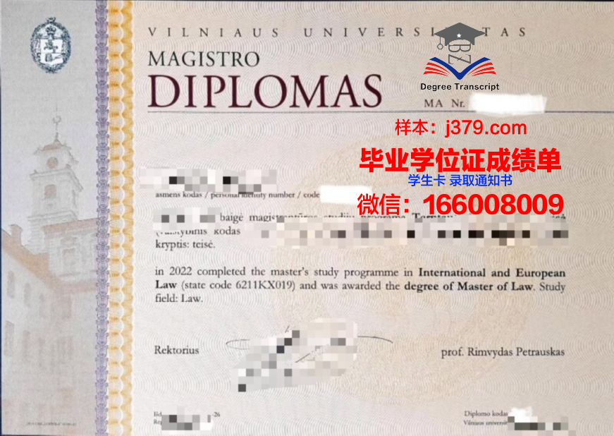 维尔纽斯艺术学院的毕业证都能做(维尔纽斯艺术学院的毕业证都能做什么工作)