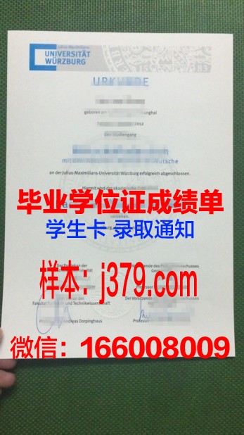 维尔茨堡大学研究生毕业证书(维尔茨堡大学研究生毕业证书图片)