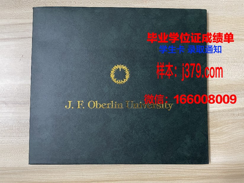 雷根斯堡应用技术大学毕业证真伪(德国雷根斯堡大学怎么样)
