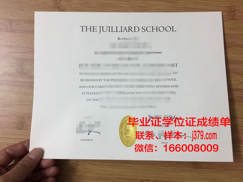 维也纳爵士与流行音乐大学毕业证模板(音乐学院爵士系)
