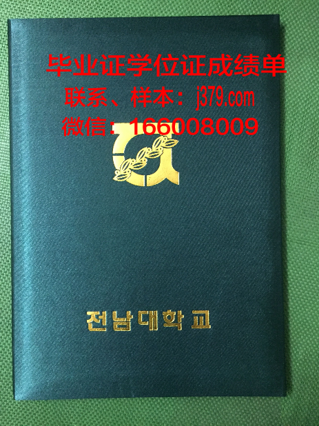 雷根斯堡大学毕业证壳子(德国雷根斯堡大学怎么样)