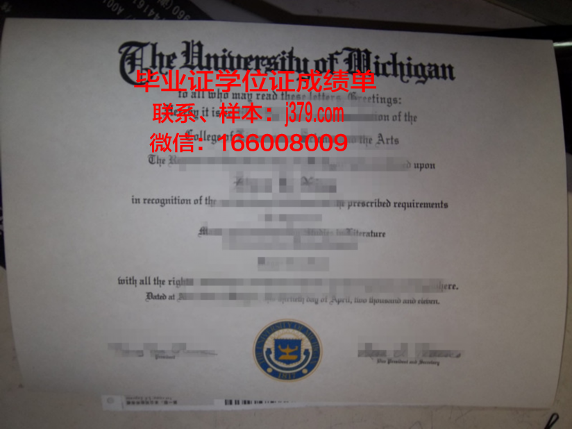 维罗纳大学毕业证学位文凭学历Diploma
