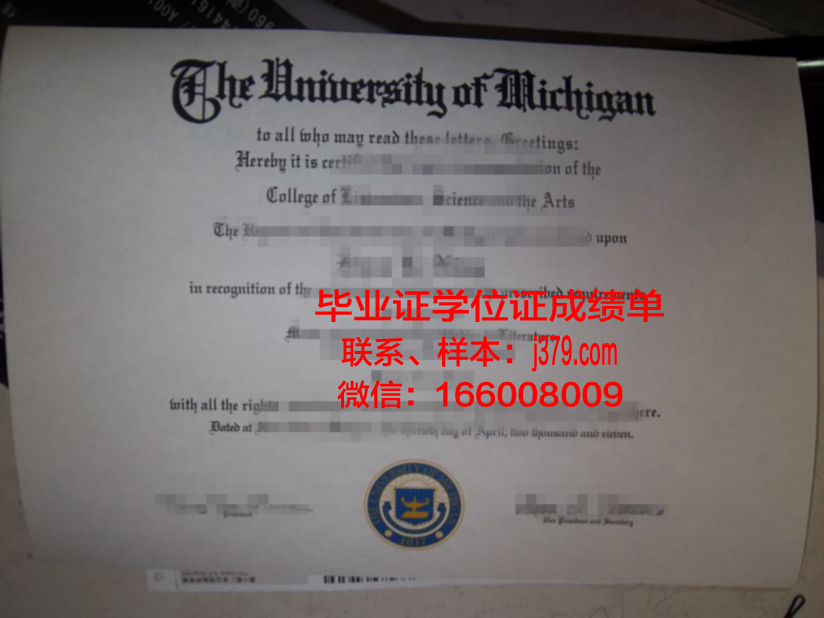 综合研究大学院大学毕业证：开启国际化教育新篇章