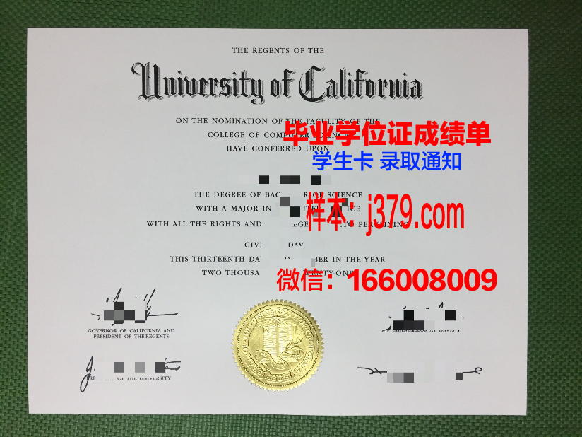 雅西国立艺术大学博士毕业证：一张承载梦想与荣耀的证书